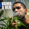 VAMO A VER