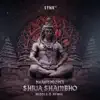 Shiva Shambho (Middle-D Remix) - Single album lyrics, reviews, download