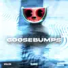 Goosebumps (Dance) [Slowed + Reverb] song lyrics