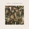 Illuminated Dolphins - Single album lyrics, reviews, download