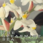 The Spearmint Sea - Signs & Coins