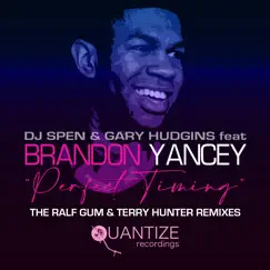 Perfect Timing (feat. Brandon Yancey) [Terry Hunter Remix] Song Lyrics
