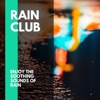 Desert Rain Lashes - Heavenly Spring Rain and Soothing Winds