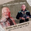 A Little Bit Country (And a Little Bit Rock 'n' Roll) - Single