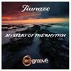 Mystery of the Rhythm - Single