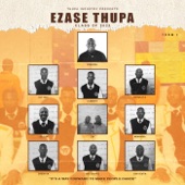 Palesa (feat. Busta 929 & Zuma) artwork