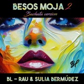 Besos moja2 (Bachata version) artwork