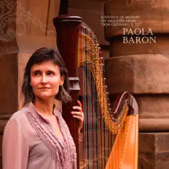 Souvenir de Mozart on Melodies from “Don Giovanni, K. 527” - Single by Paola Baron album reviews, ratings, credits
