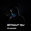 Without You - Single album lyrics, reviews, download