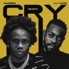 Cry (shayo) [feat. Lojay] - Single