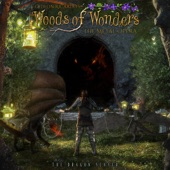 Woods of Wonders - The Dragon Slayer