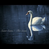 Saint-Saëns:The Swan artwork