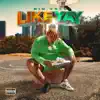 Party like a Rockstar (feat. Big Jugg & Li Heat) song lyrics