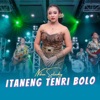 Itaneng Tenri Bolo - Single, 2023