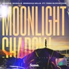 Moonlight Shadow (feat. Tess Burrstone) - Single