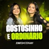 Gostosinho e Ordinario (Ao Vivo) - Single