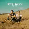 Silver Crane (Deluxe) album lyrics, reviews, download