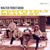 Walter Trout - If You Ever Change Your Mind