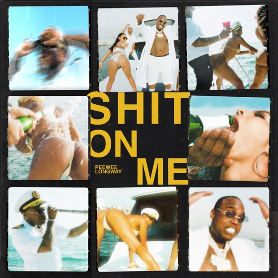 Cover artwork for Shit On Me