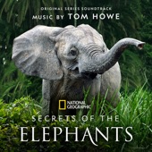 Secrets of the Elephants (Original Series Soundtrack) artwork