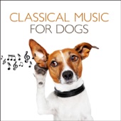 Classical Music For Dogs artwork