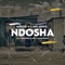 Ndosha (feat. Zannyskies & Babushka's Boy) - Master G & MFL Musiq lyrics