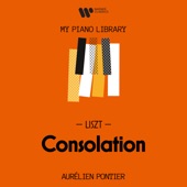 Consolations, S. 172: No. 3 in D-Flat Major. Lento placido artwork