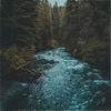 Tidal Creek - Single