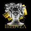 Introducing MEDUZA - EP album lyrics, reviews, download
