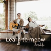 Learn to Meow artwork