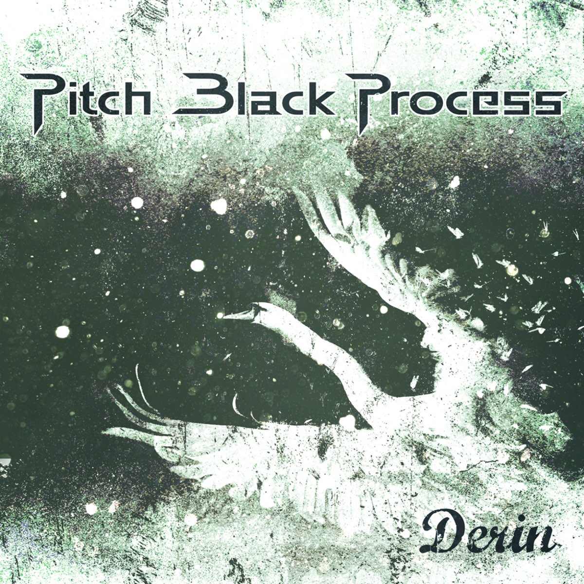 Process black. Pitch Black группа Россия.