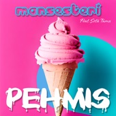 Pehmis (feat. Setä Tamu) artwork