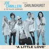 A Little Love (feat. Darlinghurst) - Single