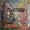 Tuatara - Stibaryarg lyrics