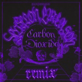 Fever Ray - Carbon Dioxide (Avalon Emerson Remix)