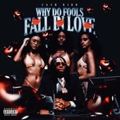 Why Do Fools Fall In Love artwork