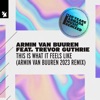 This Is What It Feels Like (feat. Trevor Guthrie) [2023 Remix] - Single