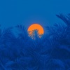 Blue Sunset - Single