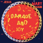 The Jesus and Mary Chain - Can't Stop the Rock