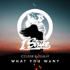 What You Want - Single