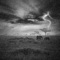Rain and Thunder - The Listening Planet lyrics