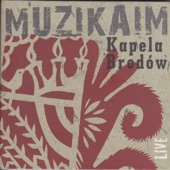Muzikaim artwork