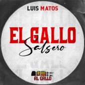 El Gallo Salsero artwork