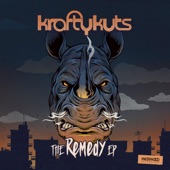 The Remedy EP artwork