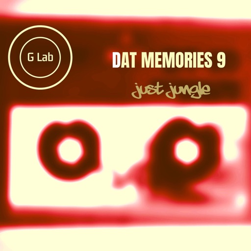 Dat Memories Vol 9 - EP by Just Jungle