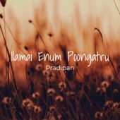 Ilamai Enum Poongatru artwork