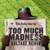 Ragga Twins - Too Much Madness - Voltage Remix