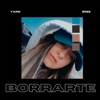 Borrarte - Single