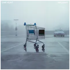 Walmart - Single by Sam Hunt album reviews, ratings, credits