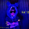 Gato - Single